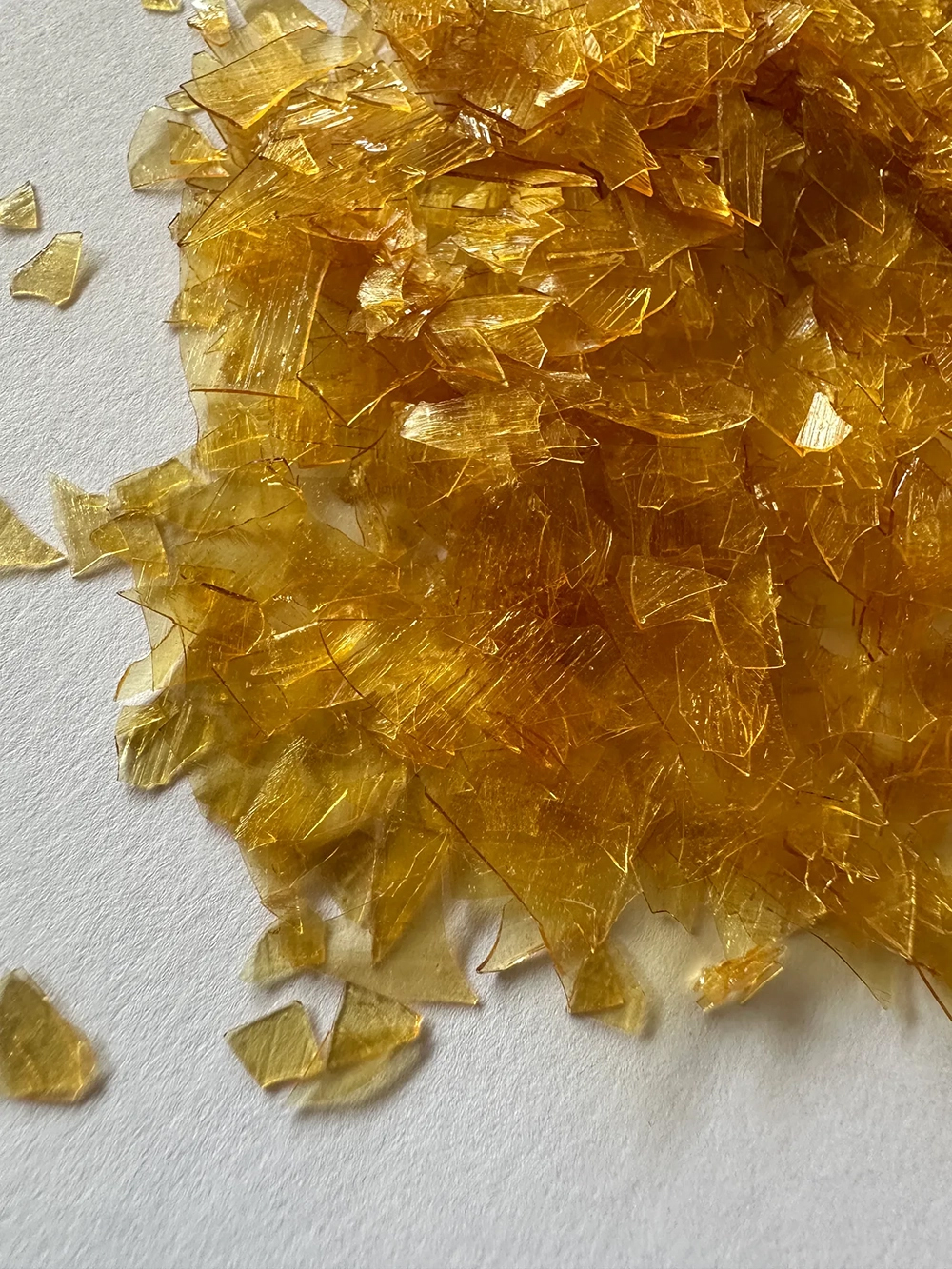 5c524197-d074-4f89-b454-7ecfb51de36e_4032x3024