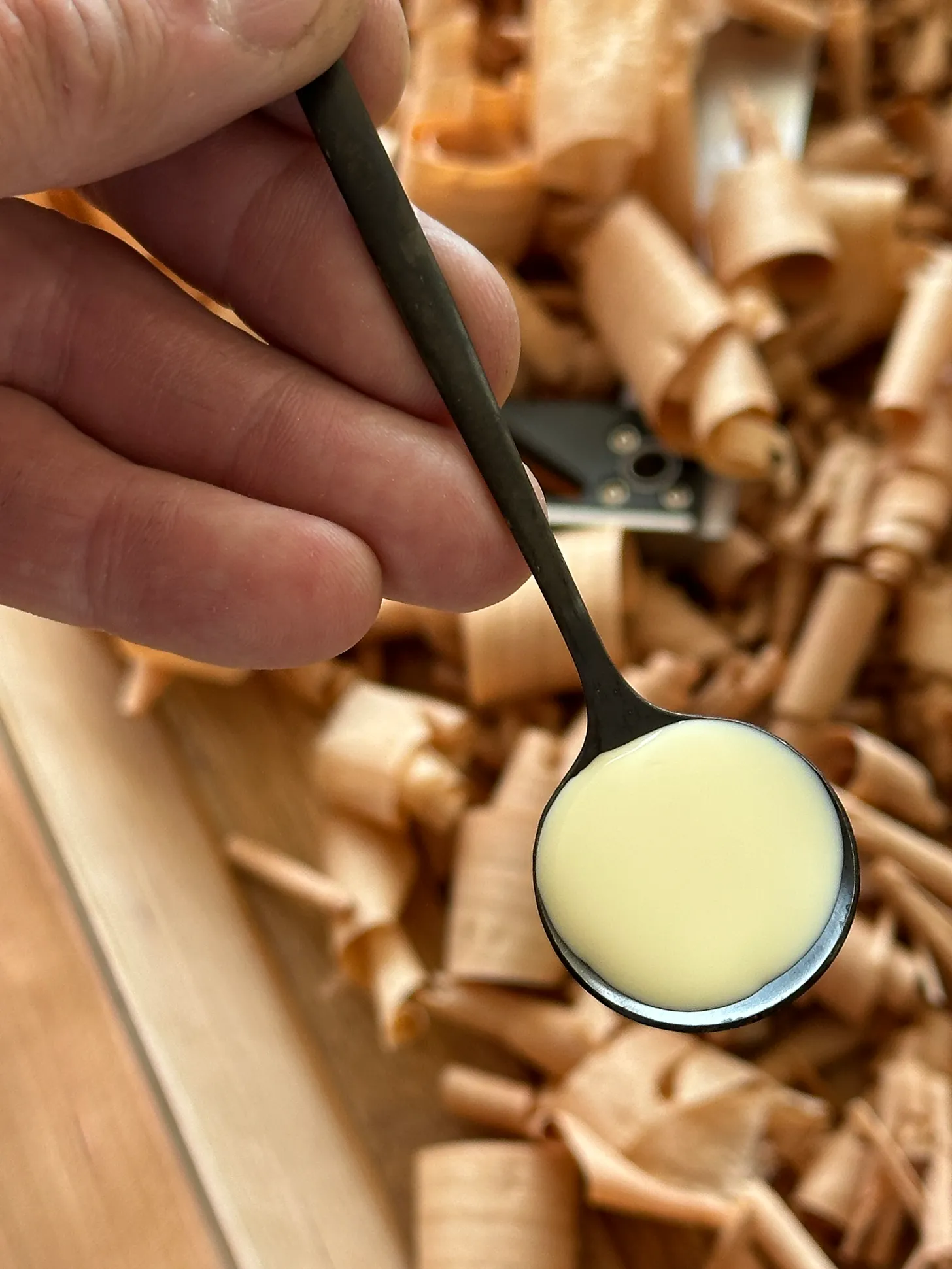 9acfd361-8d0d-43a8-aaa3-46b9d76238ec_4032x3024