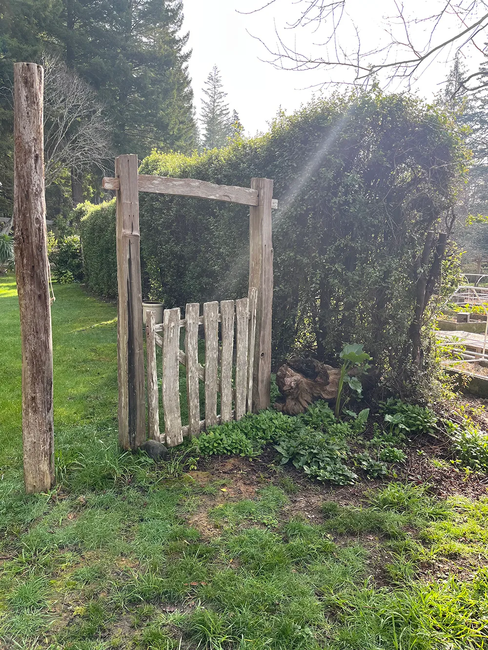 Don-Weber-gate